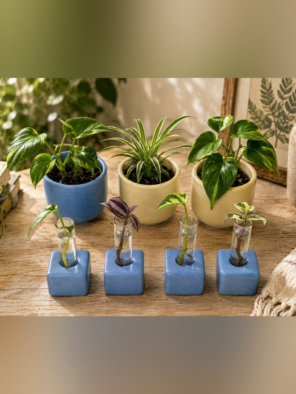 Handmade Artisan Concrete Propagation Station | Plant Lover’s Set